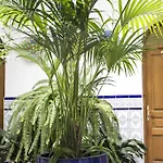 El Arco Affittacamere Conil De La Frontera