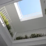 El Arco
