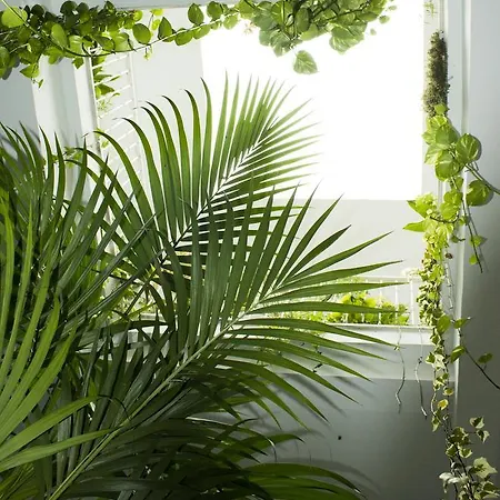 Guest house El Arco Conil De La Frontera