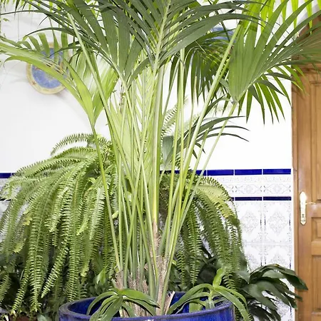 El Arco Guest house 2*