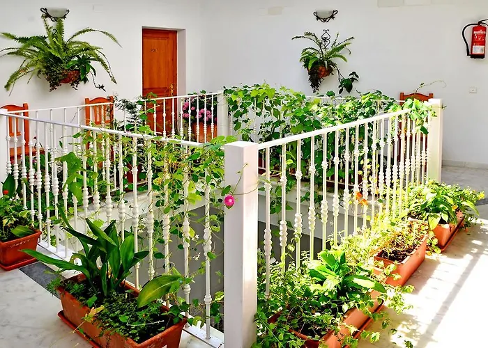 El Arco Conil De La Frontera