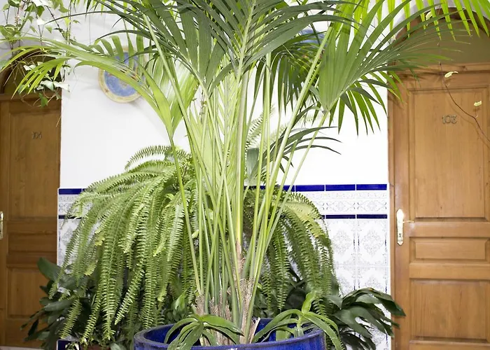 El Arco Πανσιόν 2*